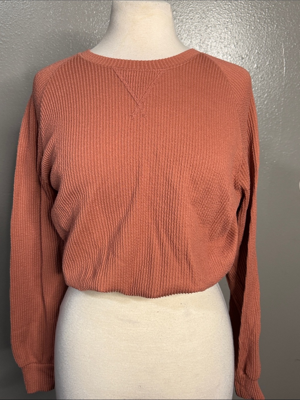 Hollister Ribbed Crewneck Sweater in Rust